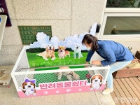 계룡시 두마면, 반려동물 쉼터 큰 호응