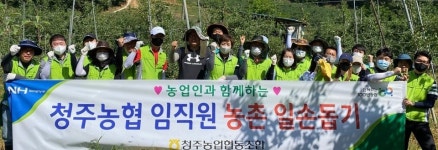 청주농협, 삼일감평법인과 농촌일손