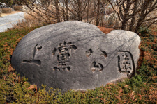 청주시립미술관, 기획전 서예 인생