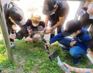 충주자연생태체험관 우리 지역 생물탐사대 운영