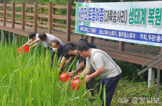 충주시 대륙송사리 방류…토종어류 복원 노력
