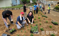 음성 음성읍 사정2리, 사시사철 꽃피는 낭만적인 마을
