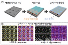 KAIST, 위상학적 솔리톤 형성과정 실시간 관찰 성공