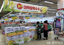 충주 수안보·살미 대학찰옥수수 수도권 나들이