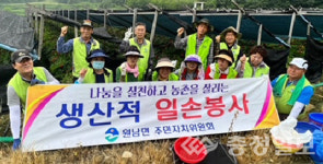 음성 원남면주민자치위, 농촌일손 돕기 실시