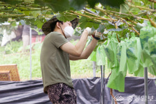 목원대, 농촌봉사활동 3년 만에 재개