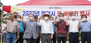 천안시 올해 첫 벼베기 풍년 기원!