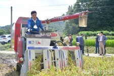 예산군, 올해 첫 벼베기 실시