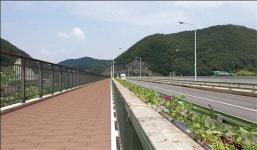 단양상진대교 보행로, 기존 150㎝→250㎝로 확장