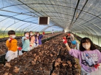 예산 대술초, 농리산촌생태마을 생태체험 실시