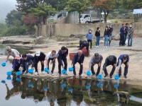 제천시 백운면, 동자개 새끼 5만 마리 원서천에 방류