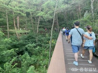 6회 용봉산 둘레산길 걷기대회 개최