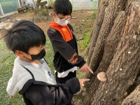 신양초, 농촌체험 실시