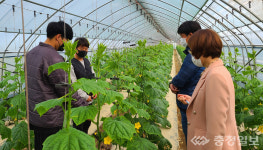 진천군, 스마트 온실 조성… 청년농업인에 임대