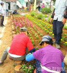 진천군, 요양원 대신 케어팜 등 정부혁신 우수사례 5건 선정