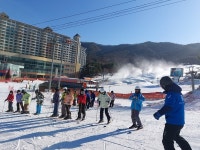 예산 조림초, 2박3일 스키캠프 실시
