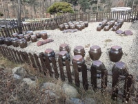 속리산 숲체험휴양마을, 직접 담근 김치와 메주로 자연의 맛을 담다