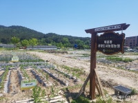 대전시, 치유와 체험이 함께하는 행복농장 텃밭 분양