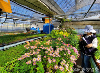 산림품종관리센터 돈 되는 신품종 개발로 산림르네상스 실현