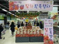 부여군, 굿뜨래 딸기 소비지 판촉행사 펼쳐