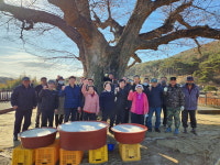 예산군 봉산면 봉림리, 천년 느티나무 거름주기 행사 개최