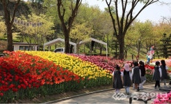 오월드로 봄 나들이 오세요