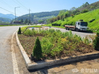 충주 읍·면·동, 속속 한평정원 조성