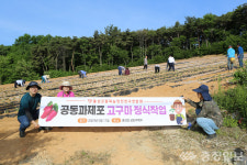 홍성군품목농업인연구연합회, 현장 실증시험으로 앞서간다. 