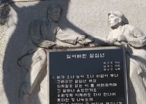 [장문석의 발길 디카詩] 아직은 그늘