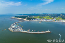 남당항 대하, 안심하고 드세요