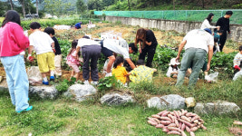 보은군 삼가·북암 농촌체험관, 농산물 수확 체험 프로그램 인기
