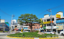 충주시, 시내 회전교차로 3곳에 정원 조성