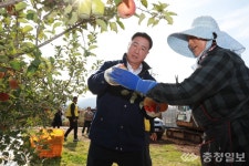 정영철 영동군수, 일손부족 농가를 위해 일손이음 봉사 참여