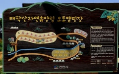 천안 태학산자연휴양림, 한국관광공사 강소형잠재관광지 선정