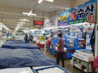 농수산물 도매시장 현대화사업 속도.. 하반기 착공 목표