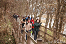 양산팔경 금강둘레길, 봄의 문턱에서 힐링 만끽