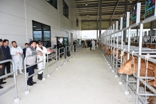 최재구 예산군수, 예산축협 최첨단 가축전자경매시장 방문