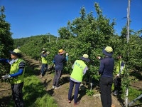 예산군 대술면, 영농철 맞이 농촌일손돕기 추진