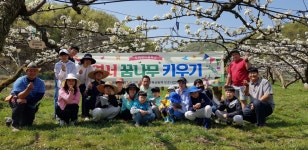 세종 도원초 꿈나무 키우기 실시