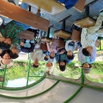 예산꿈빛학교, 유치원생 아그로랜드 태신목장 현장 체험학습