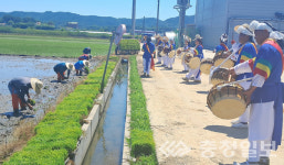 진천 농민회, 손 모내기 시연 성료