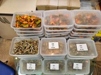 태안읍, 동문4리 부녀회 사랑의 반찬 나눔 미담 훈훈