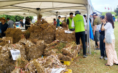 서산시, 15회 서산6쪽마늘축제 성료