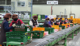 충주거점산지유통센터 APC 경영평가 2년 연속 1위