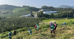 신명인쇄사，예산벌초대행 | 예산군 응봉면 새마을남녀지도자협의회, 한가위맞이 공동묘지 벌초