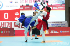 15회 세계택견대회 성황…18개국 택견인 충주서 열전