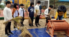 예산 웅산초, 수확의 계절 가을을 맞아 벼 수확
