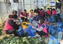 덕산문화복지공동체법인 | 진천 덕산읍·문백면, 공직자 일손이음 봉사활동 구슬땀