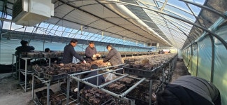 청양군 맑은물사업소, 표고버섯 농가에서 가을철 농촌일손 돕기 실천