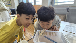 공주상서초등학교, 파충류와 함께하는 정서적 교감